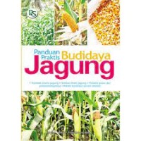 Panduan Praktis Budidaya Jagung