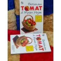 Bertanam Tomat di Musim Hujan