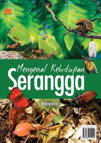 Mengenal Kehidupan Serangga