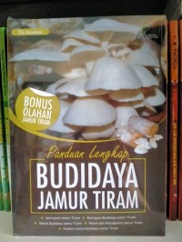 Panduan Lengkap Budidaya Jmaur Tiram