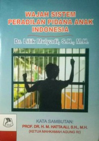 Wajah Sistem Peradilan Pidana Anak Indonesia