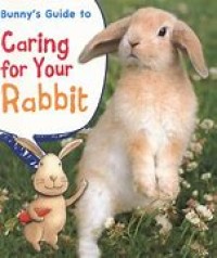 Bunny`s Guide to Caring for Your Rabbit