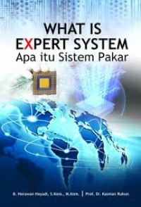 What is Expert System = Apa Itu Sistem Pakar